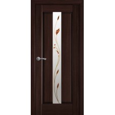 Двери Премьера (Каштан, стекло сатин и рисунок Р1)