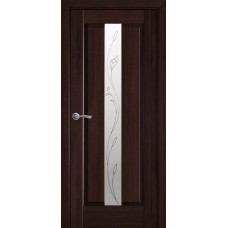Двери Премьера (Каштан, стекло сатин и рисунок Р2)